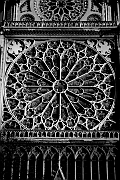 Wall_Art_Alphabet_Photography_Art_ 1630